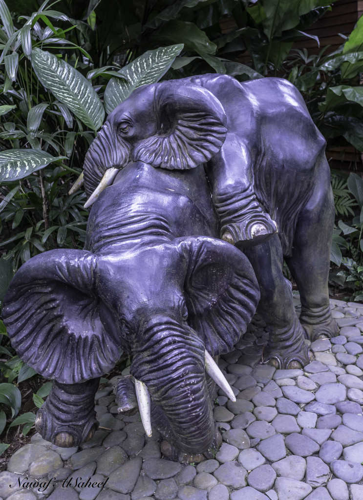 Elephent Stone in Bali