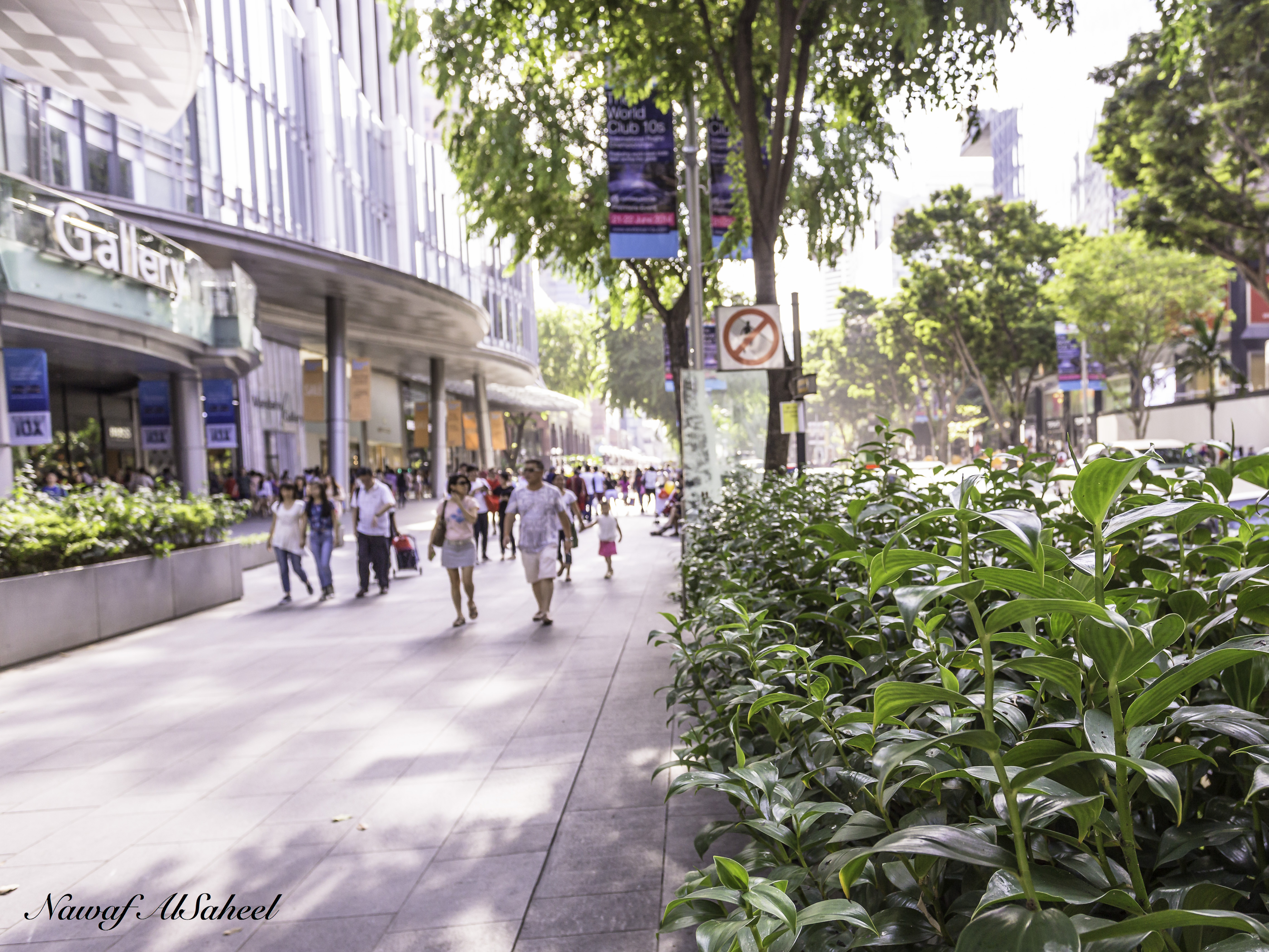 Singapore Orchard Street